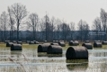 038_Biebrza - kwiecien 2011
